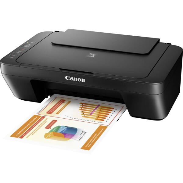 Canon Pixma MG2555S (0727C026BA)