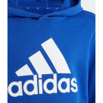 Adidas Big Logo Essentials Hoodie Jr IC6834 152 cm