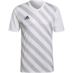 Pánsky dres Entrada 22 Graphic Jersey HF0129 Adidas