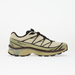 Tenisky Salomon XT-6 GTX Aspargus Green/ Tea/ Bchoco EUR 45 1/3