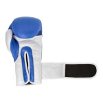 Kožené boxerské rukavice MASTERS RBT-TRW 01210-02 modrá