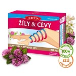 TEREZIA ŽILY & CIEVY