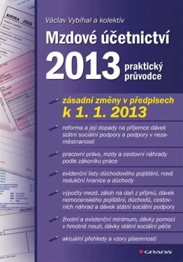 Mzdové účetnictví 2013, Vybíhal Václav