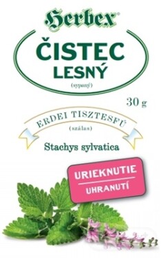 HERBEX ČISTEC LESNÝ - bylinný čaj