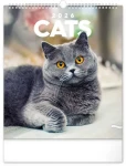 NOTIQUE Nástenný kalendár Mačky 2026 / 30 x 34 cm (PGN-35225-L)