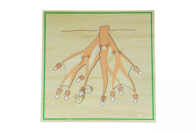 Moyo Montessori Moyo Montessori Puzzle - koreň