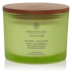 Chesapeake Bay Awaken + Invigorate Vonná sviečka 312 g (5038581114545)