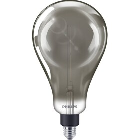 Philips Lighting 871951431537200 LED E27 klasická žiarovka 6.5 W = 25 W teplá biela (Ø x d) 162 mm x 293 mm 1 ks; 871951431537200