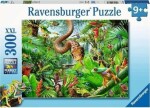 Ravensburger Domov plazov