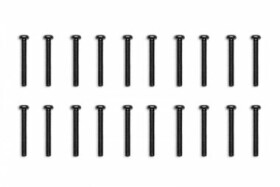 EKWB EK-Loop Phillips Head Screw Set M4x30mm - Black (20pcs) (3831109897997)