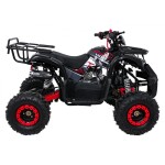 Mamido Detská benzínová štvorkolka RamiGO WILDPEAK 110CC čierno-červená