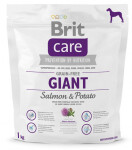 Brit Care Grain-free Giant Salmon&Potato 1kg