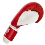 Kožené boxerské rukavice MASTERS RBT-TRW 01210-02 modrá