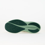 Tenisky Mizuno Wave Rider 29 (M) White/ Bistro Green/ Creme de Me EUR 43