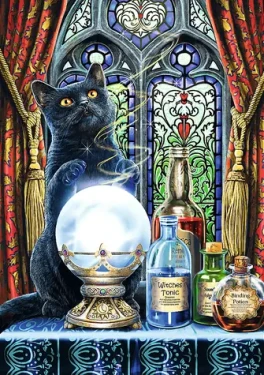 Trefl - Puzzle - Premium PLUS Magic Collection: Čarodejný učeň