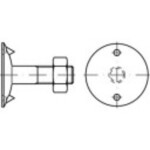 Tanierové skrutky TOOLCRAFT 147112 M12 DIN 15237 35 mm oceľ 100 ks; 147112