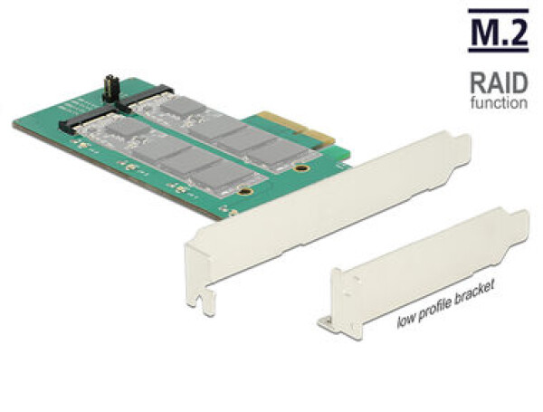 DeLock PCI Express Karta 2 x interný M.2 Key B s RAID / format low profile (89536-D)