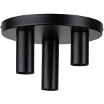 Paulmann 79761 stropné svetlo E27 čierna; 79761