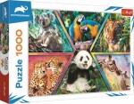 Trefl - Puzzle - Animal Planet: Kráľovstvo zvierat