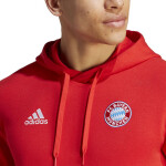 Adidas FC Bayern Dna Hoodie M HY3291 muži M