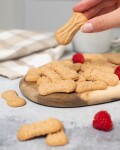 Vilgain Špaldové sušienky BIO – kokos 100 g