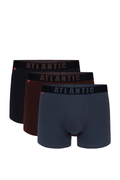 Pánske boxerky pack 011/02 Atlantic vícebarevná