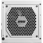 MSI (306-7ZP8A24-CE0)