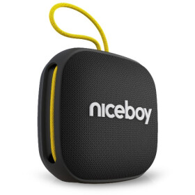 Niceboy RAZE Mini 4 čierna / Prenosný Bluetooth reproduktor / BT / IPX5 / 800mAh (raze-mini-4)