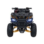 Mamido Detská benzínová štvorkolka RamiGO DISCOVERER 125CC čierno-oranžová