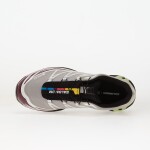 Tenisky Salomon XT-6 GTX Paloma/ Maroob/ Buttrf EUR 42 2/3