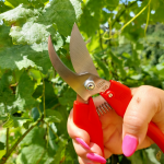 Zberacie nožnice FELCO 300