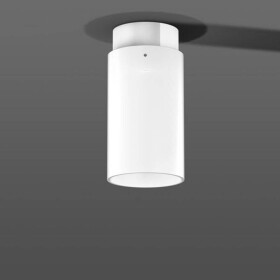 RZB 931178.002.1 931178.002.1 LED stropné svietidlo; 931178.002.1