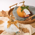 Somerset Toiletry Tekuté mydlo na ruky v dávkovači White Pumpkin and Sage 500 ml
