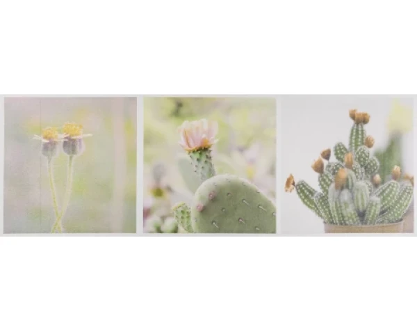 Obraz na plátne Kaktusy koláž, 90x30 cm%
