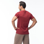 Pánske tričko s krátkym rukávom HAMILONI L