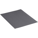 Rhodius WSP 301017 brúsny papier Zrnitosť 800 (š x v x h) 230 x 1 x 280 mm 50 ks; 301017