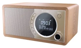 Sharp DR-450 hnedá / Prenosné rádio / 6W / DAB+/FM / Bluetooth 4.2 / LCD displej (DR-450(BR))