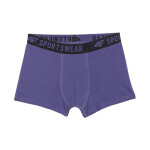 Chlapčenské boxerky 4F M061 3pak viacfarebné 1 4FJWAW25UBXSM061 91S 134-140cm