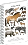 NOTIQUE Animalium - Nepárnokopytníci / Špirálový blok / A4 / štvorčekový