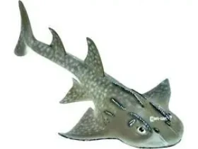 Collecta Gitarovec krivoústy