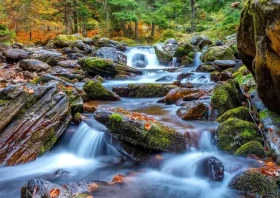 ENJOY Puzzle Lesná riečka na jeseň
