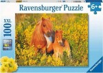 Ravensburger poník