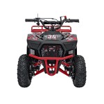 Mamido Detská benzínová štvorkolka RamiGO SIRIUS 49CC červená