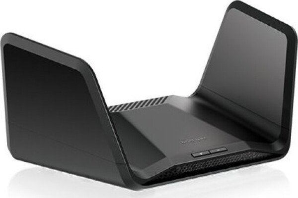 NETGEAR RAXE300-100EUS