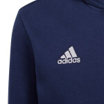 Entrada 22 Hoody Jr Adidas