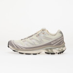 Tenisky Salomon XT-6 Vanilla Ice/ Ftw Silver/ Lilaca EUR 39 1/3