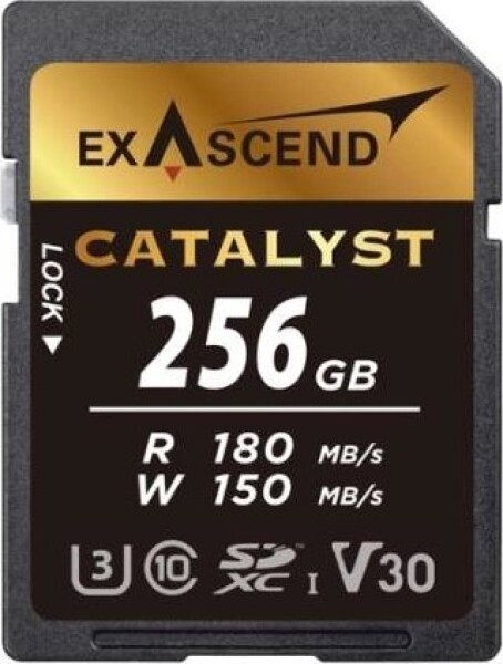 ExAscend Catalyst SDXC 256 GB Class 10 UHS-I/U3 V30 (EX256GSDU1)