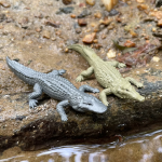 Safari Ltd. Safari Ltd. Tuba - Národný park Everglades