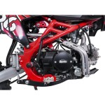 Mamido Detská benzínová motorka RamiGO ULTRA 66 125CC červená