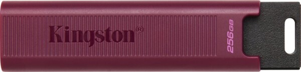 Kingston DataTraveler Max, (DTMAXA/256GB)